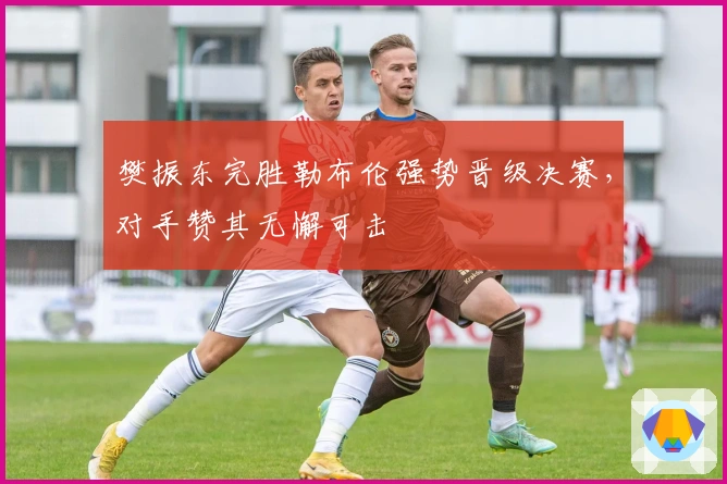 樊振东完胜勒布伦强势晋级决赛，对手赞其无懈可击