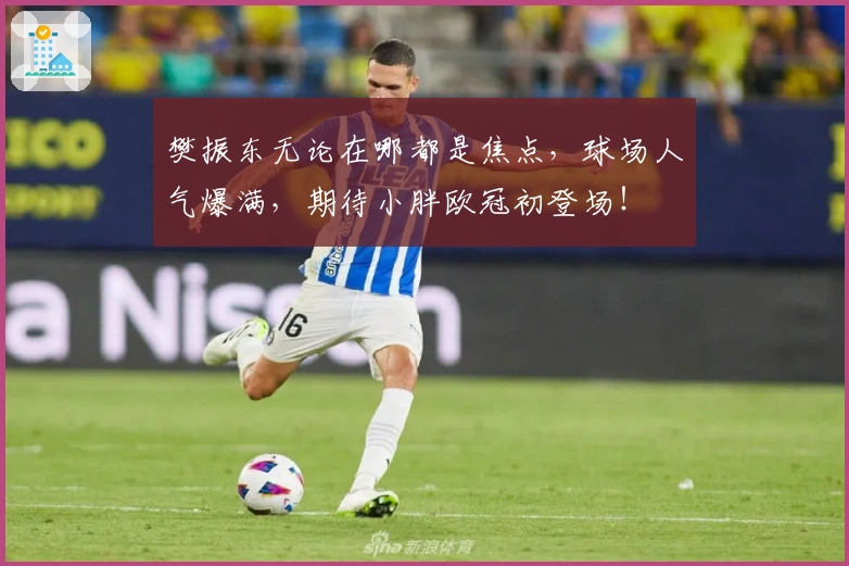 樊振东无论在哪都是焦点，球场人气爆满，期待小胖欧冠初登场！