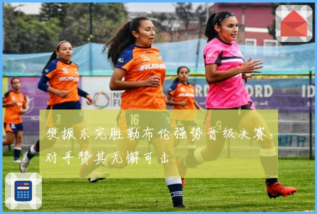 樊振东完胜勒布伦强势晋级决赛，对手赞其无懈可击